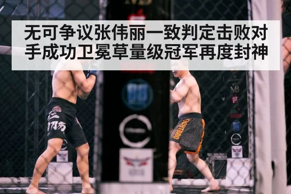 Zhang Weili MMA