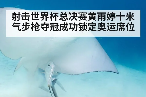 射击世界杯总决赛黄雨婷十米气步枪夺冠成功锁定奥运席位